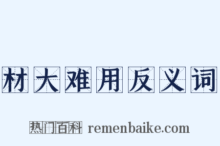 材大难用反义词是什么意思的图片